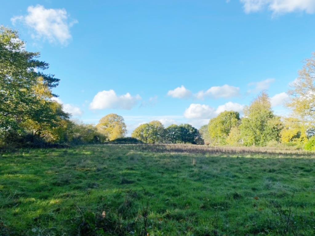 Lot: 37 - 4.57 ACRE PARCEL OF LAND WITH ROAD FRONTAGE - Land